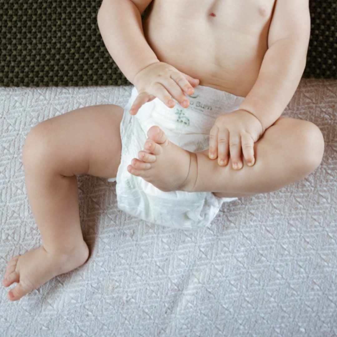 Eco-Luxe Sample Nappy
